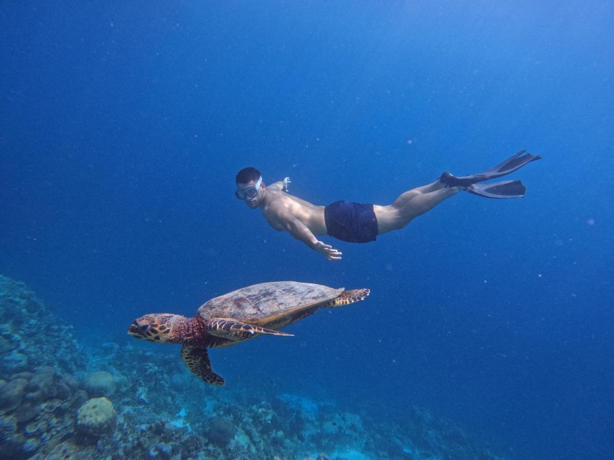 Blue Water Thoddoo Inn エクステリア 写真