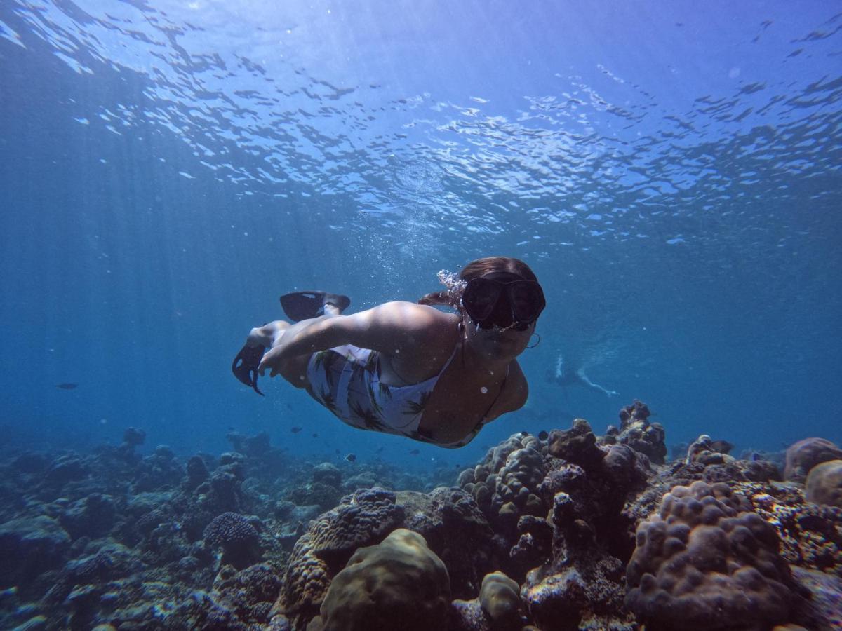 Blue Water Thoddoo Inn エクステリア 写真