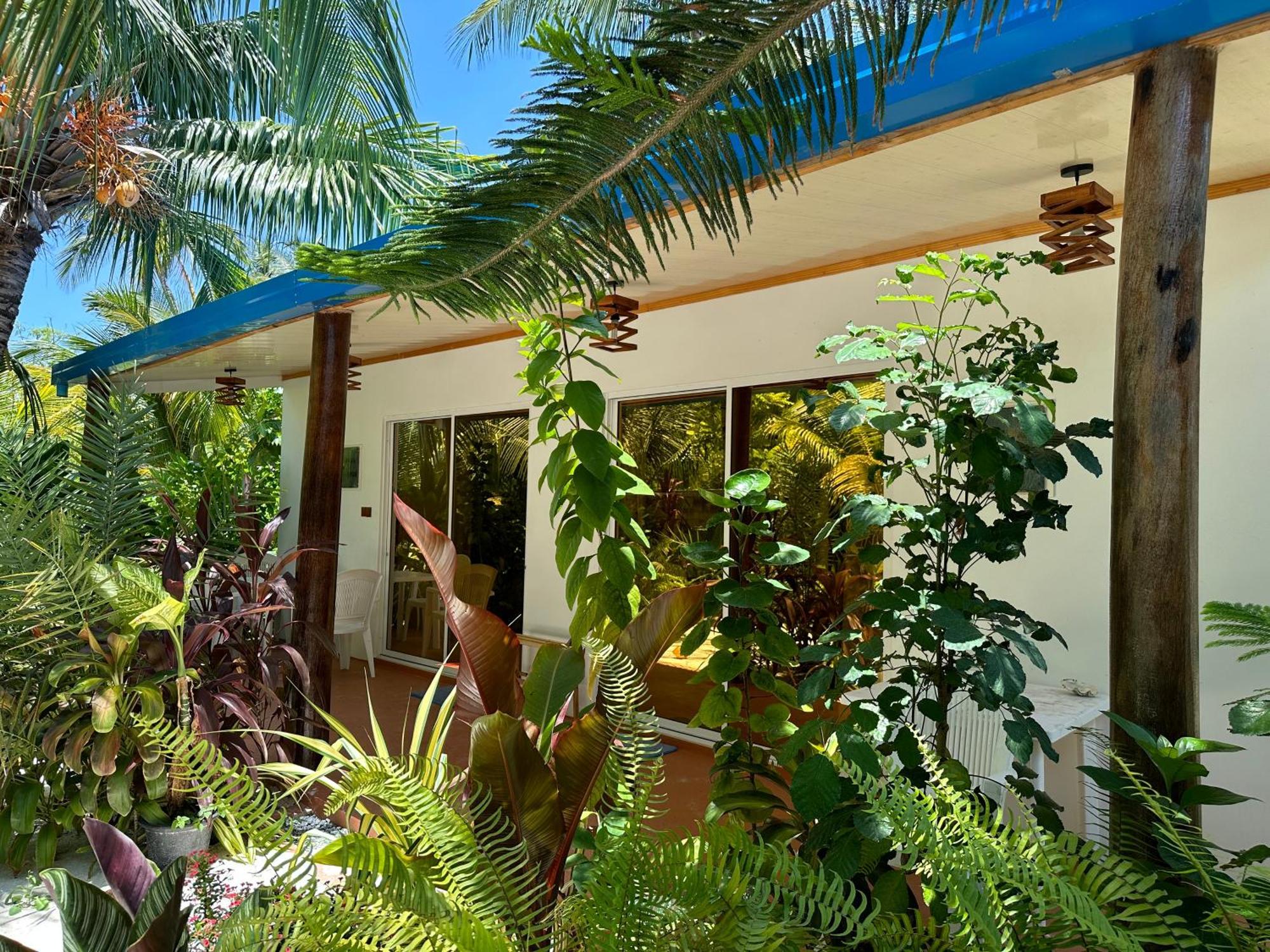 Blue Water Thoddoo Inn エクステリア 写真