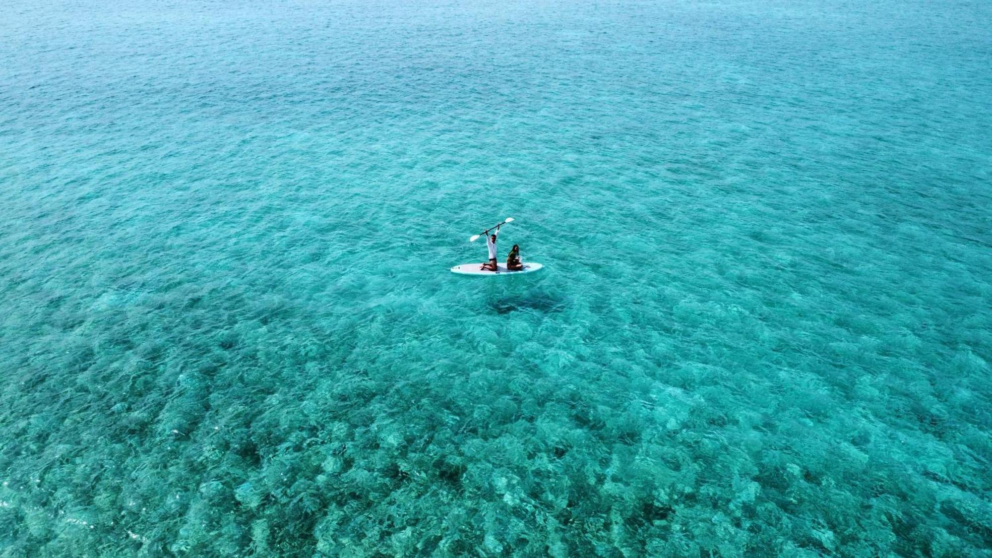 Blue Water Thoddoo Inn 部屋 写真